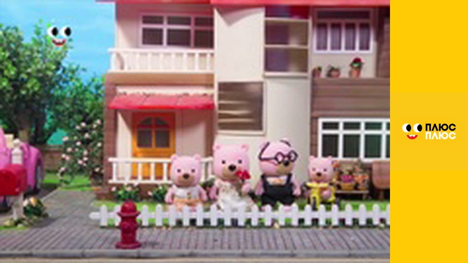 Історія жителів Сильванії