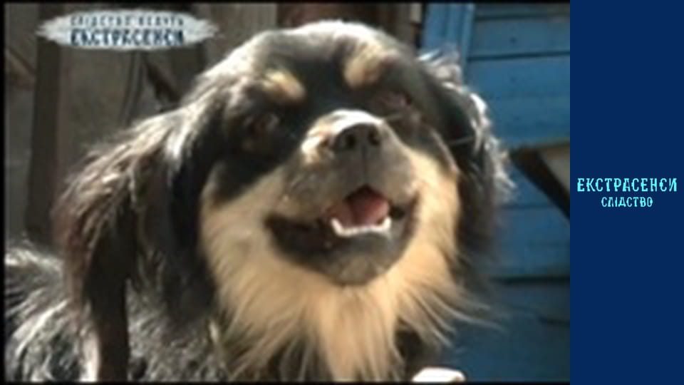 Звонки с того света. Часть 2