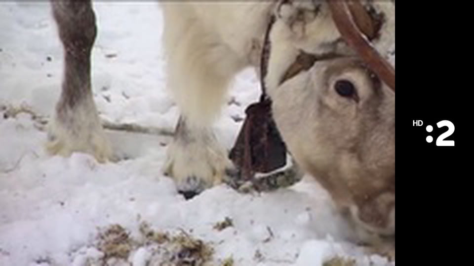 Slimák Maťo a škriatok Klinček E90 - Ako Maťo s Klinčekom otvorili hrad