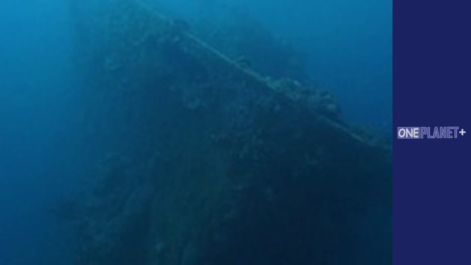 У пошуках знань. - серия 19