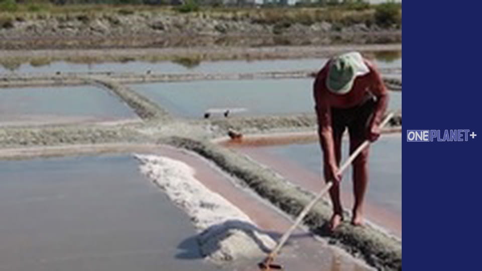 Элементы, Сезон 1, Выпуск 3