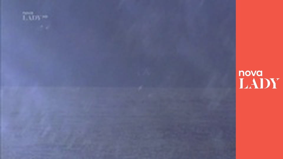 Pobřežní hlídka S2E17