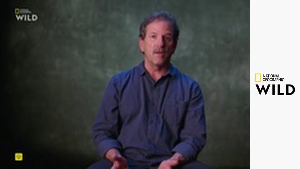 Něco mě kouslo! S1E7 - Pach smrti