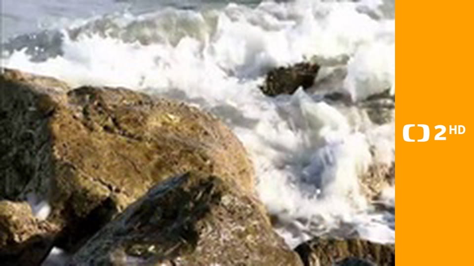 Tajemství ptačích obrů