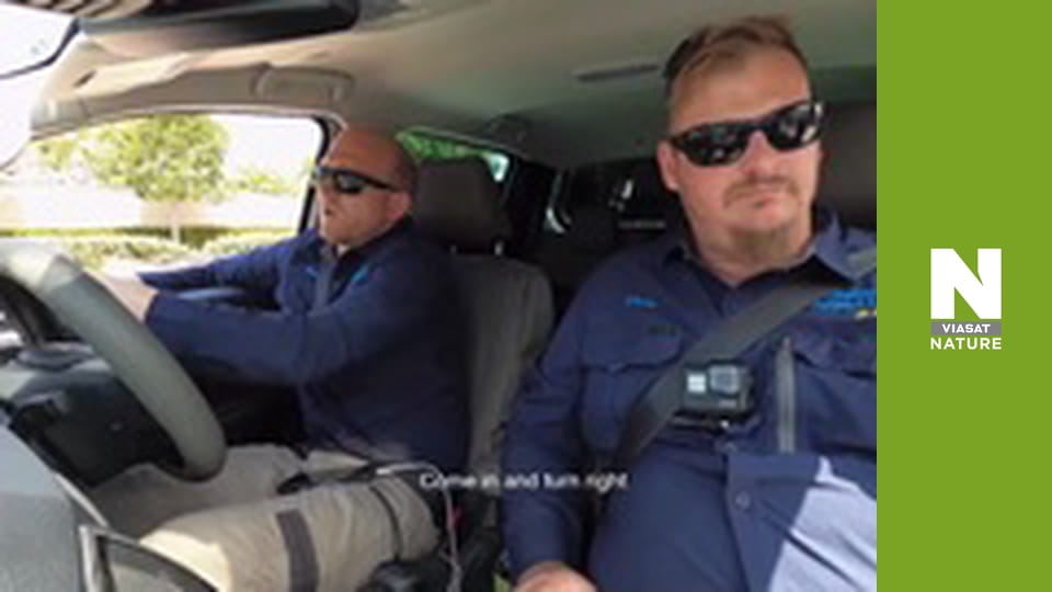 Aussie Snake Wranglers - Too Close For Comfort