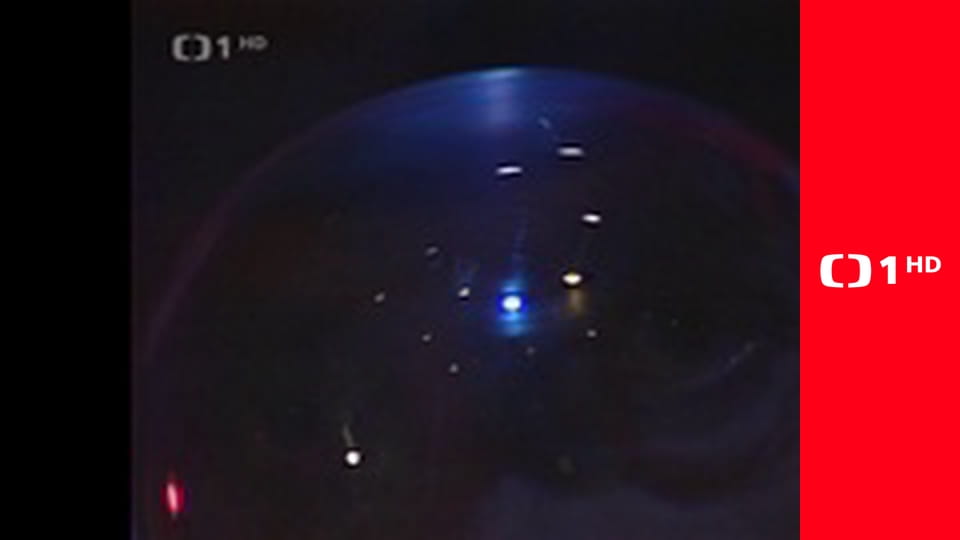 Co medvědi nevědí