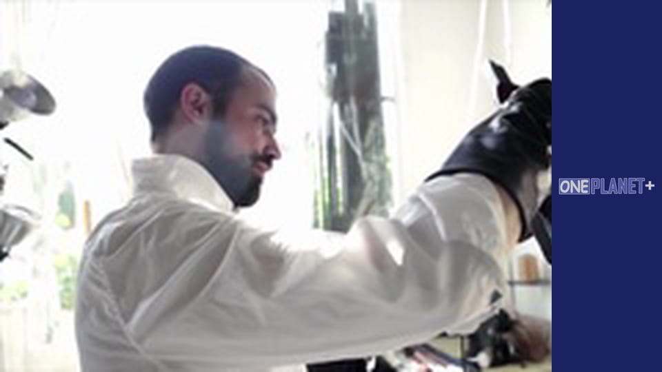 Everyday elements, Season 1, Episode 4