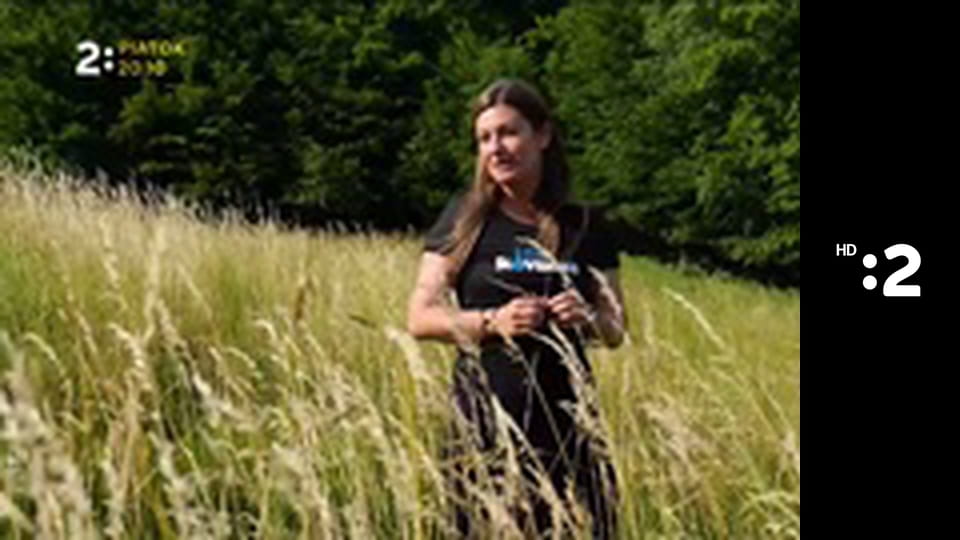 Anjeli strážni E19 - Michaely Kocianovej