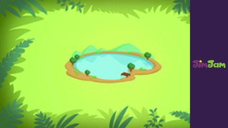 Leo the Wildlife Ranger S1E12 - AUSTRALIAN PELICAN