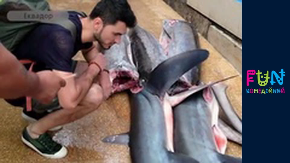 Earners - Season 3 Episode 2