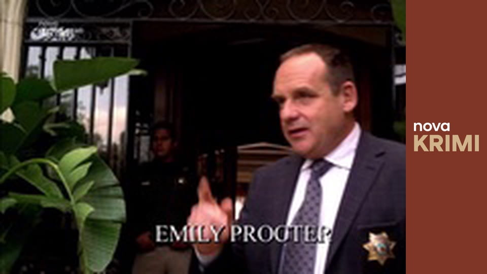 Kriminálka Las Vegas S2E22 - Mezistátní spolupráce