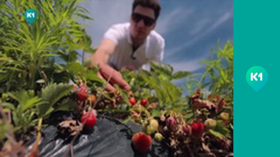 "Інший світ".