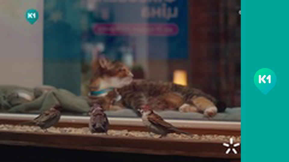 "Орёл и Решка".