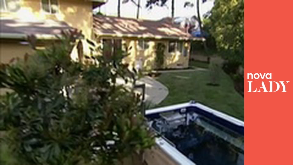 Tescoma s chutí - Kaštanový koláč