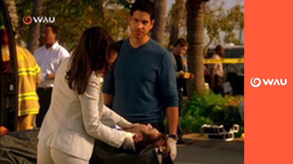 C.S.I.: Kriminálka Miami S4E17 - Zrážka