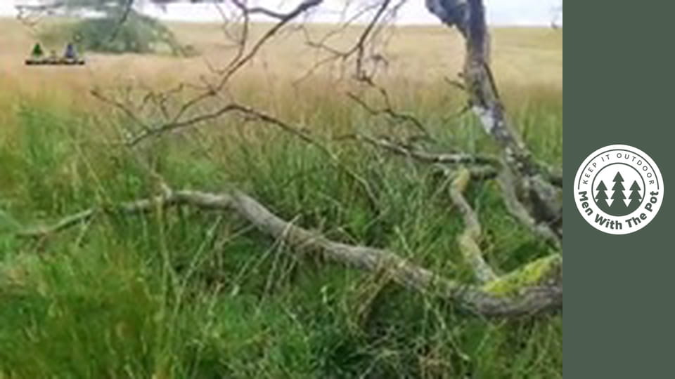 Mäso so zemiakmi pod hustou vrstvou syra