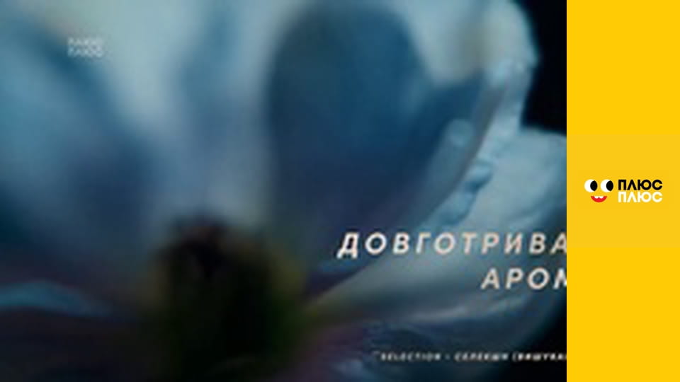 Оґґі та кукарачі