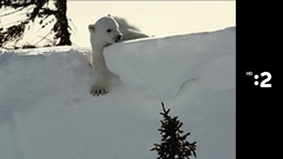 Byť tak zvieratkom E10 - Gepard