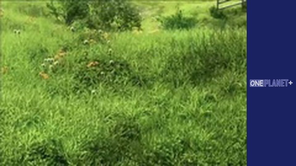 У пошуках знань. - серия 17