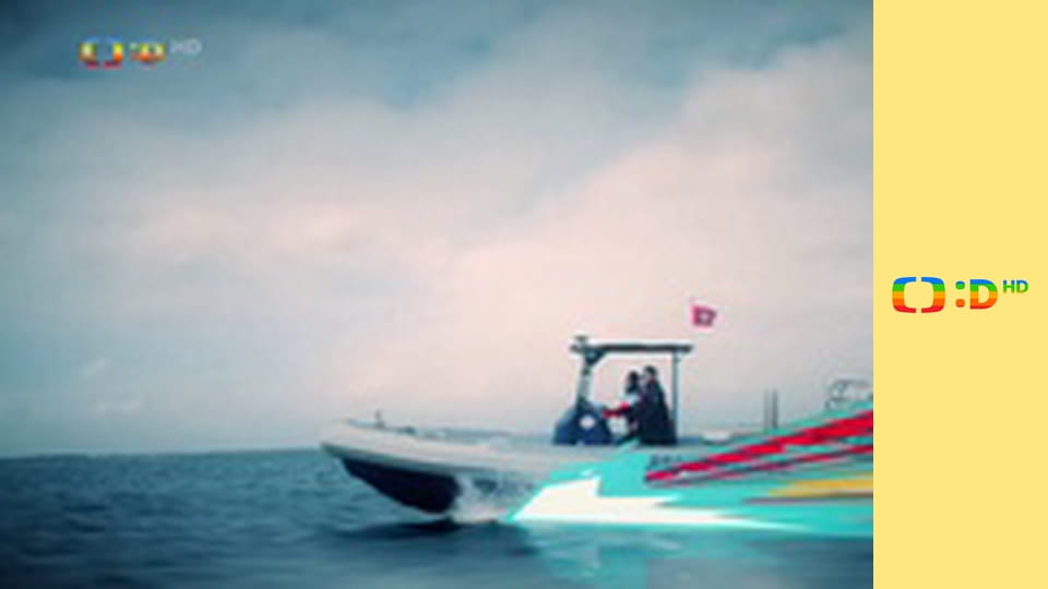 Grace a úžasné stroje IV