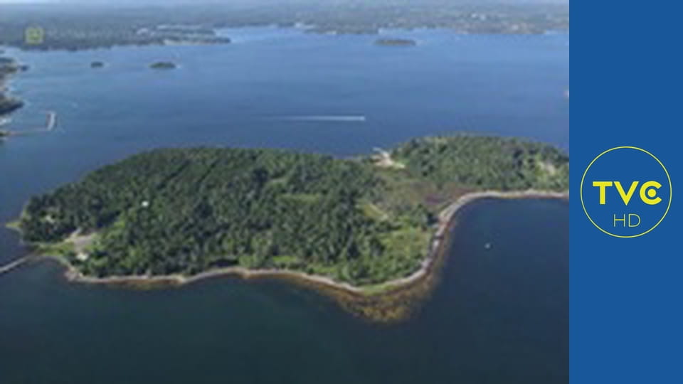 Klątwa Wyspy Dębów S4E11 - Prezydenckie sekrety