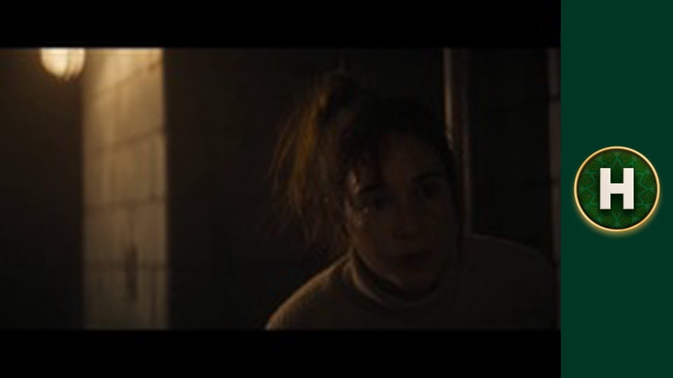 Аферисти в сітях