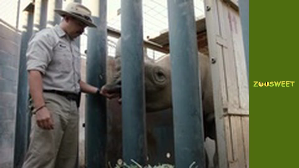 Прогулянки Дикою природою Сан-Дієго - серія 20