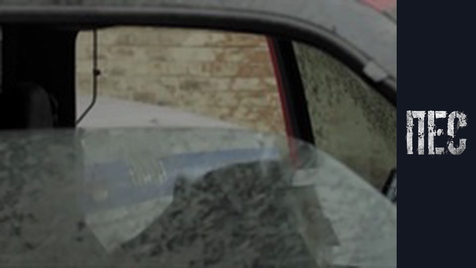 Пес, Сезон 1, Серія 10