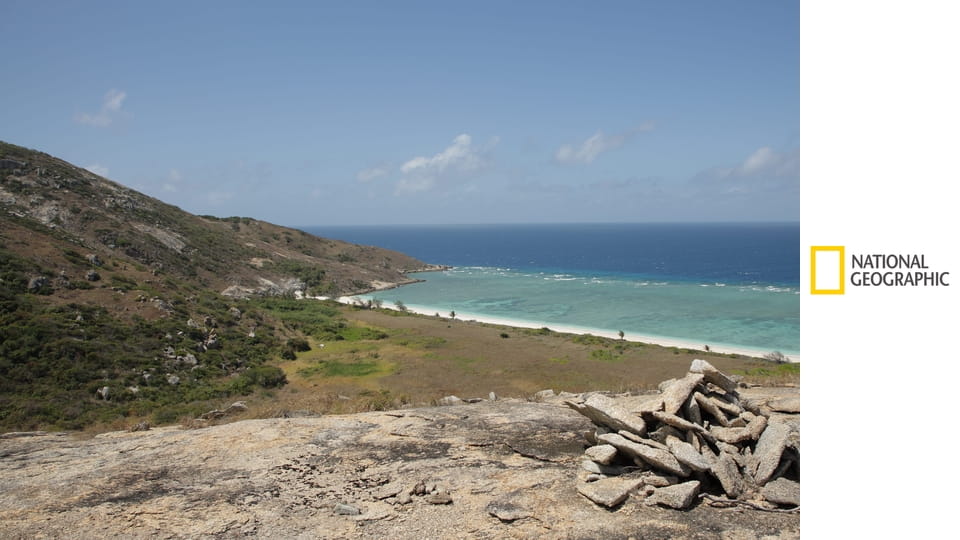 Осушить океан S4E7 - Битва за корабль \"Чёрный лебедь\"