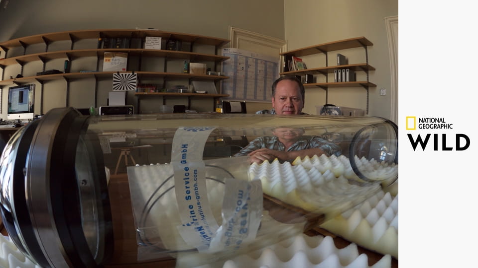 В поисках гигантского кальмара