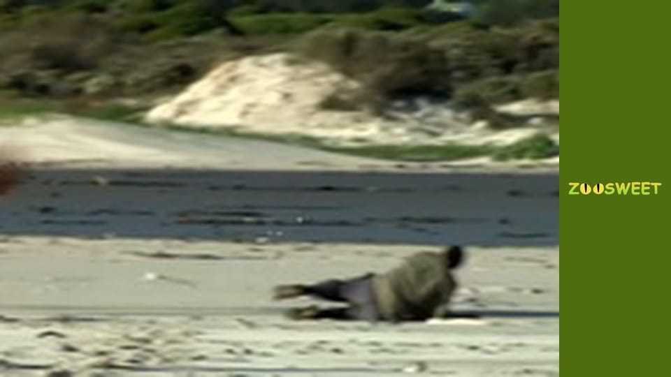 Siaya, Season 1, Episode 8