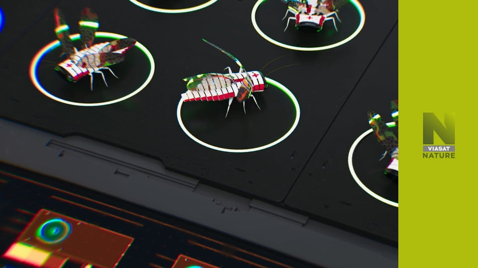 Еволюція S1E1 - Дослідження