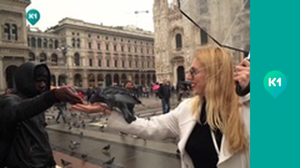 "Пригоди з Яною Метьолкіною".