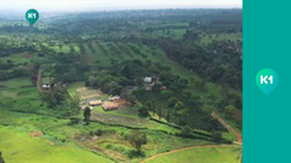 "Інший світ".