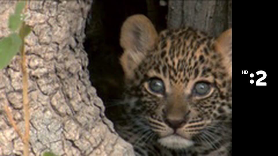 Zázračný miniateliér E57 - Mikulášska sporiteľnička