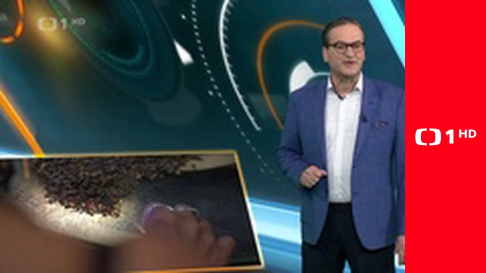 Všechny velké a malé bytosti - Návrat domů