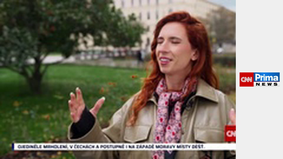 Estetika bez cenzury