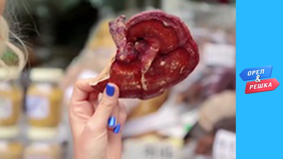 Шопінг 1-2 сезон - випуск 38 - Сеул