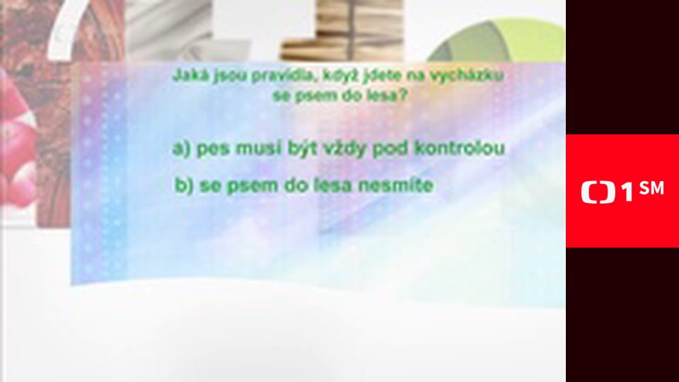 Postřehy odjinud - Káhira očima Štěpána Macháčka – Káhirský psí život