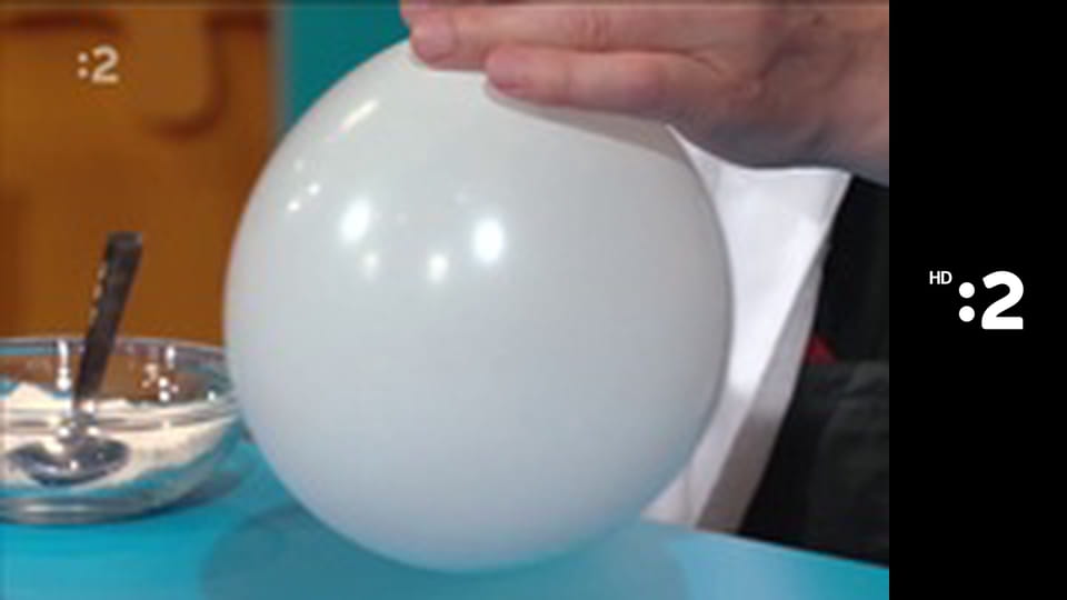 Rodinka líšok a jazvecov E45 - Rosien zvonček