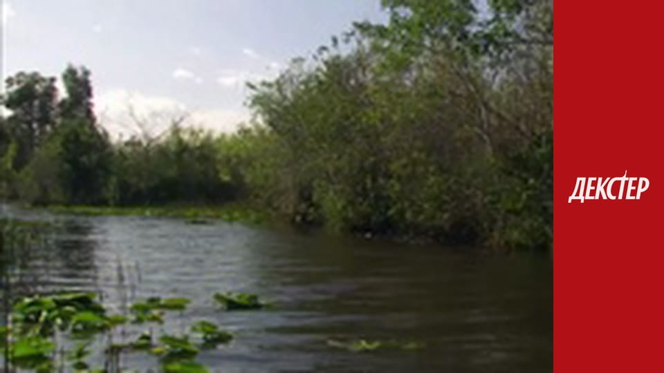 Декстер Сезон 4 Епізод 7