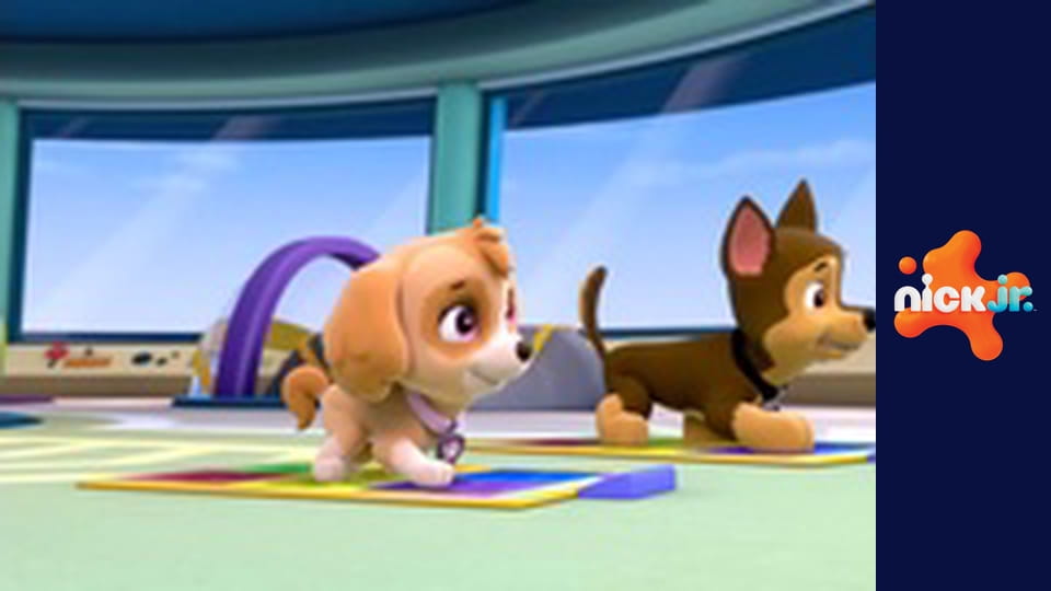 Psi patrol S1E4 - Hop hop boogie/Pieski we mgle