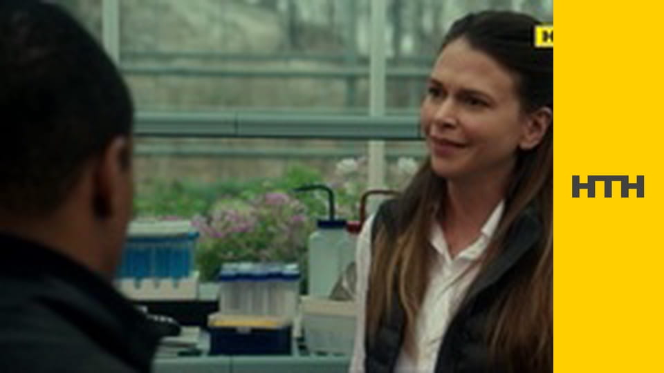 "Случайный свидетель".