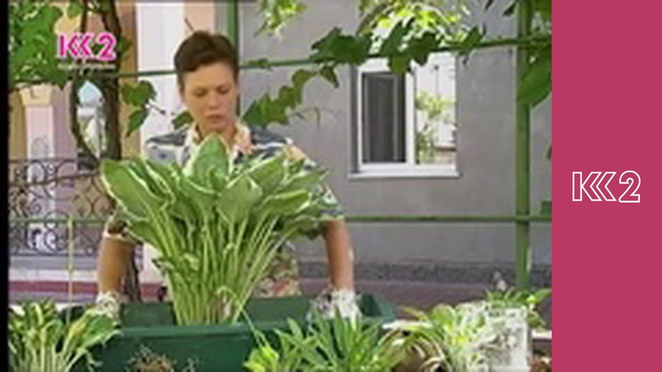 Шість соток S2E18