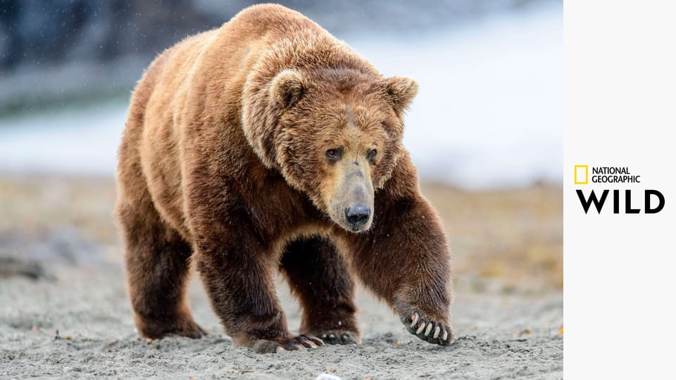 Королевы S1E2