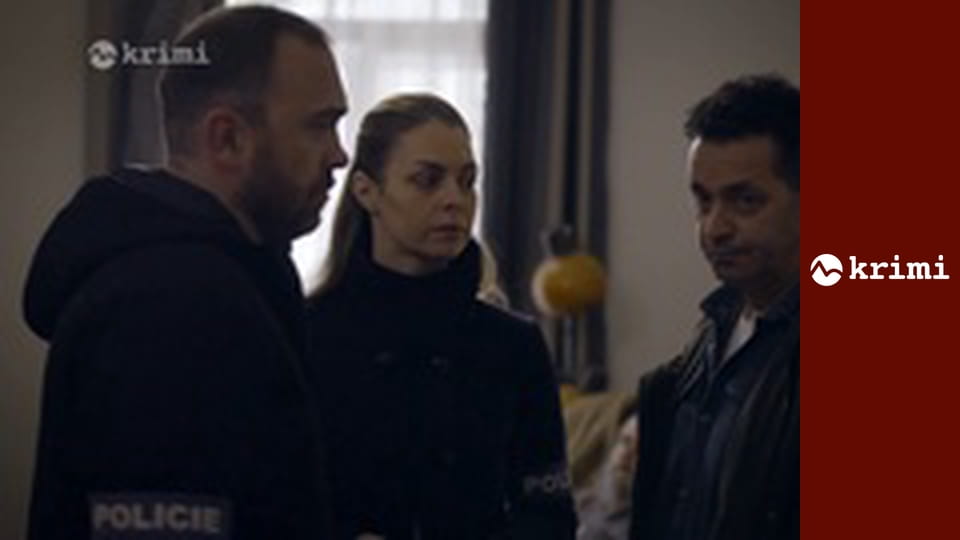 Špecialisti S6E29 - Odplata