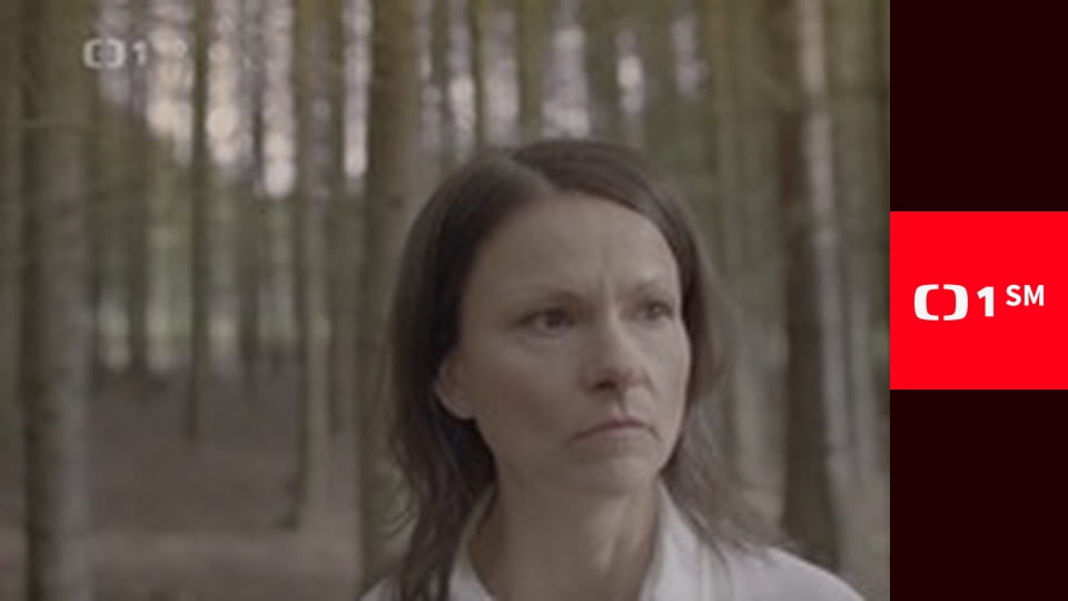 Výsledky losování Šťastných 10 a Euromiliony