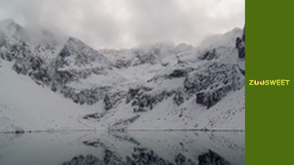 Знакомство с дикой природой, Выпуск 2