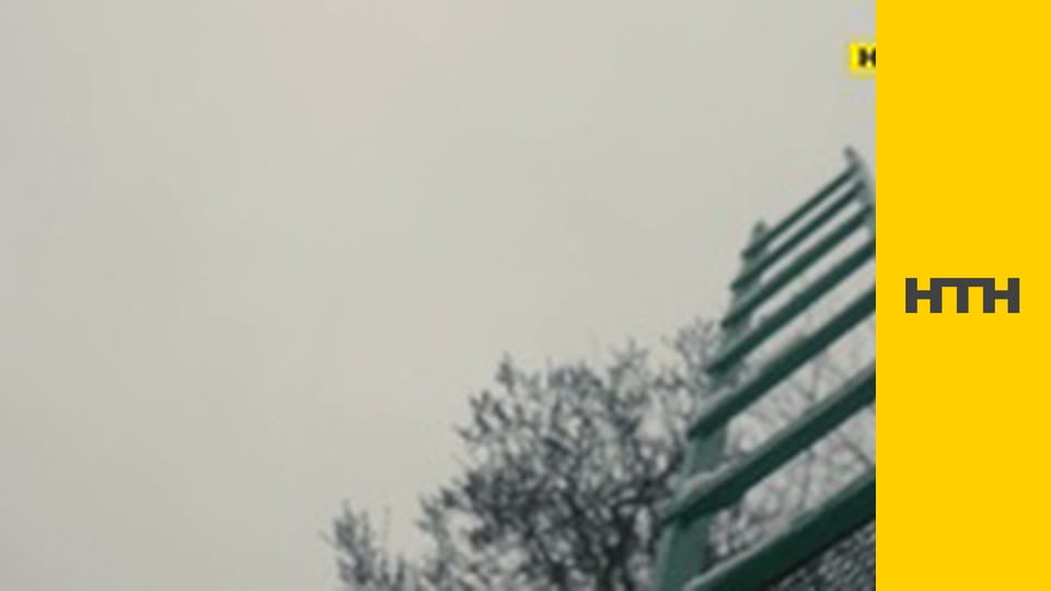 "Випадковий свідок".