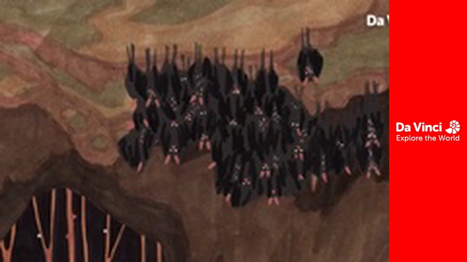 Детеныши - Летучие мыши